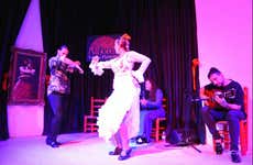 Spettacolo di flamenco a La Alboreá