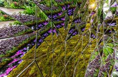 Ticket to the New York Botanical Garden