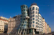 Free tour por la Ciudad Nueva